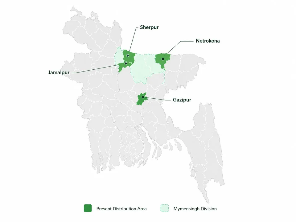 Map showing current Energy Solution distribution areas