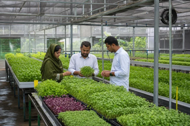 Specialists inspecting healthy crops in a controlled greenhouse environment
